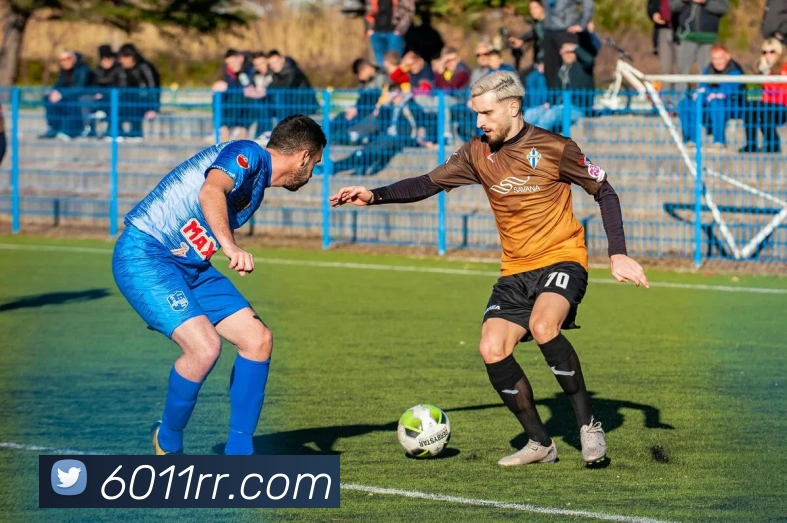 AI Risk Control